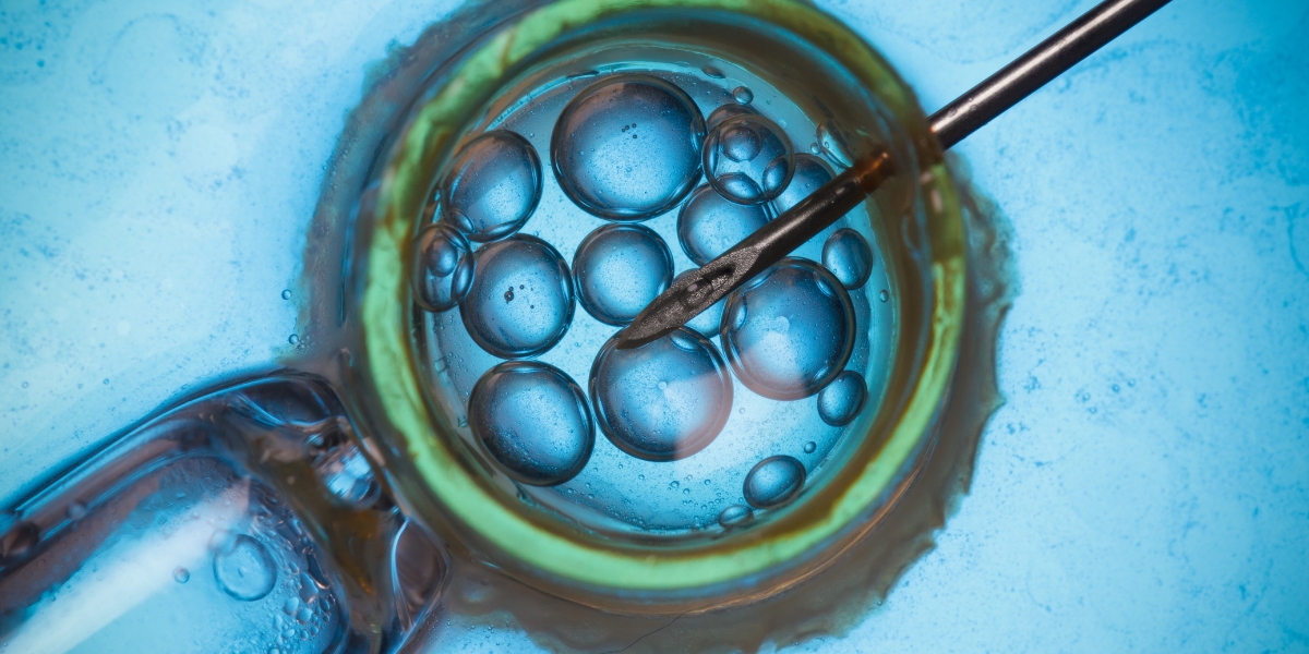 What is IVM ÔÇô In Vitro Maturation of Oocytes